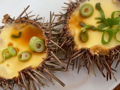 -海胆小馆(东北水饺·春柳店)