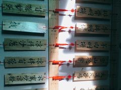 -沙洲胡杨焖饼