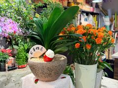 -何兮花店·气球派对鲜花店(马桥银春路万科城店)