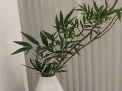 -墨宴(西洋湖店)