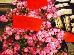 -溪岸路花鸟市场