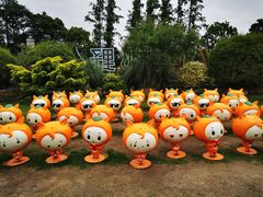 -上海长兴岛郊野公园
