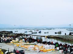 -蚝乡农庄(铁涌赤岸店)