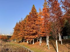 -四里河滨水生态公园