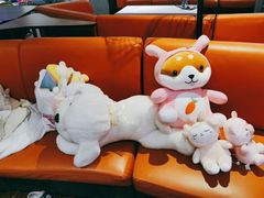 -大鲁阁保龄球(苏州园区店)