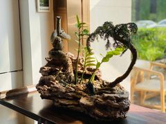 -不凡脑禅境·养生·舒压调理SPA(华发世纪城店)