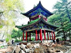 -迎泽公园
