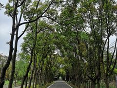 -同里国家湿地公园