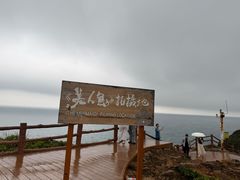 -杨梅坑