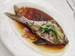 -新灿记大酒楼
