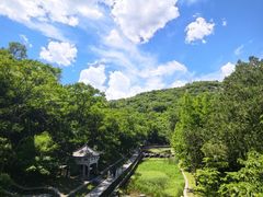 -白水寺森林公园
