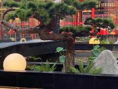 -老山东·山东菜(鲁菜名店)