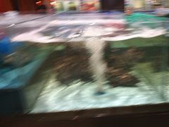 -阿伟海鲜楼·福建菜(延寿店)