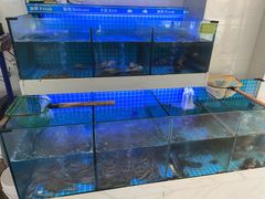 -鹅香四海·卤水火锅·砂锅粥·潮汕菜(宝安店)