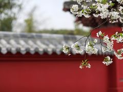 -明蜀王陵(地铁站)
