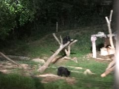 -清迈夜间动物园