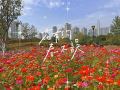 -沙湖公园