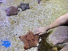 -多彩贵州城极地海洋世界