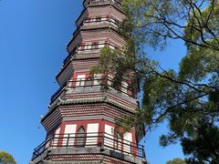 -顺峰山公园