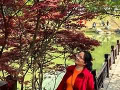 -铁山坪森林公园