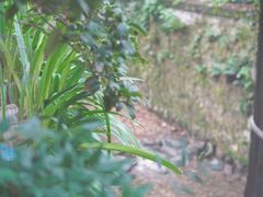 -欣怡茶庄·始于1999(梅家坞店)