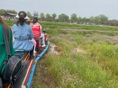 -武汉紫薇都市田园