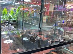 -凯德广场(学府店)