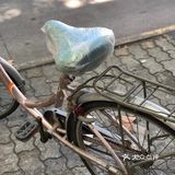 随手拍，生活片段。