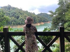 -广州市流溪河国家森林公园