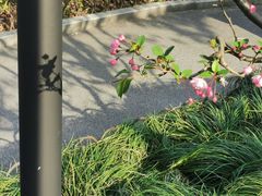 -兰溪青年公园