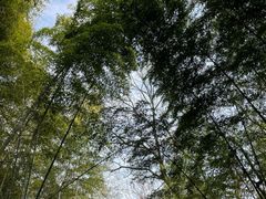 -兴福老面馆(寺路街店)