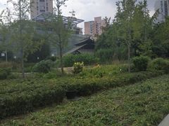-活水公园
