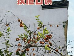 -丝绸小镇荻港古村