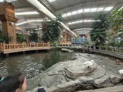 -南宫五洲植物乐园