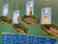 -天津自然博物馆