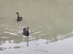 -广州白江湖森林公园