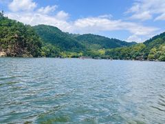 -黔灵山公园