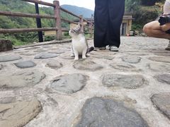 -初溪土楼群