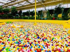 -南宫五洲植物乐园