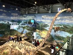 -自贡恐龙博物馆