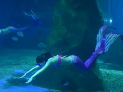 -北戴河圣蓝海洋公园