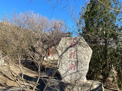 -北京凤凰岭