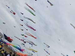 -潍坊滨海云门国际风筝放飞场