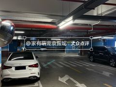 -上海白金汉爵大酒店(大零号湾国际会议中心店)