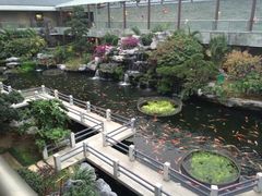 -桃园盛宴·岭南粤菜·手工茶点(南庄店)