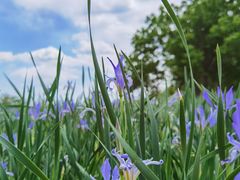 -北京西山国家森林公园