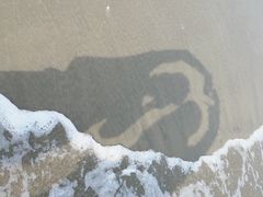 -中国第一滩