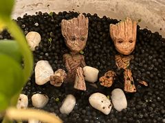 -Fun Job Art 零基础油画国画DIY画室(望京店)