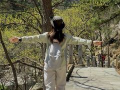 -沂蒙山旅游区龟蒙景区