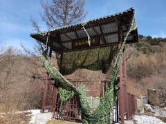 -秦岭风景区